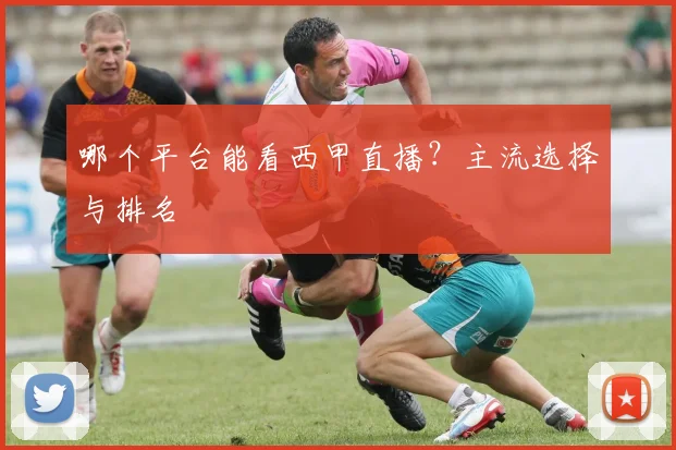 哪个平台能看西甲直播？主流选择与排名