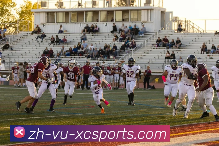 杏彩体育平台生态图