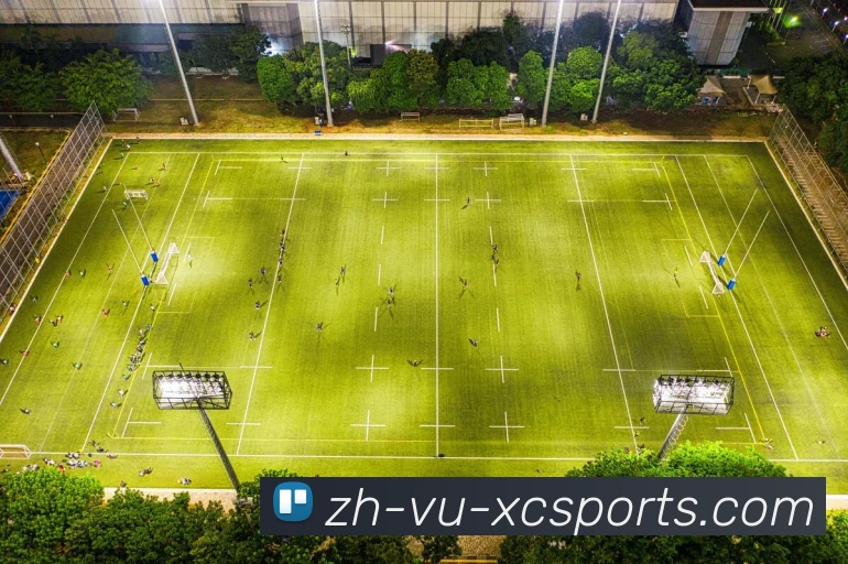 杏彩体育全站App